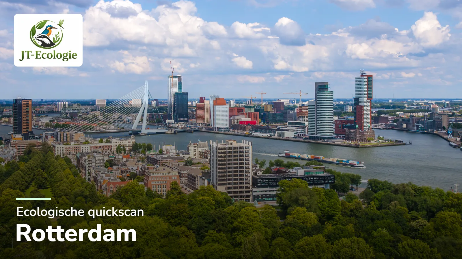 Ecologische quickscan in Rotterdam – groen en skyline aan de Maas