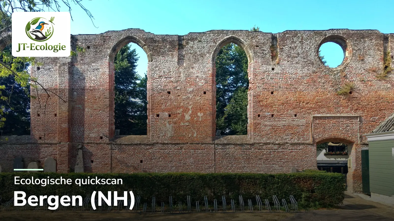 Ecologische quickscan in Bergen (NH) – de Ruïnekerk in het dorpscentrum