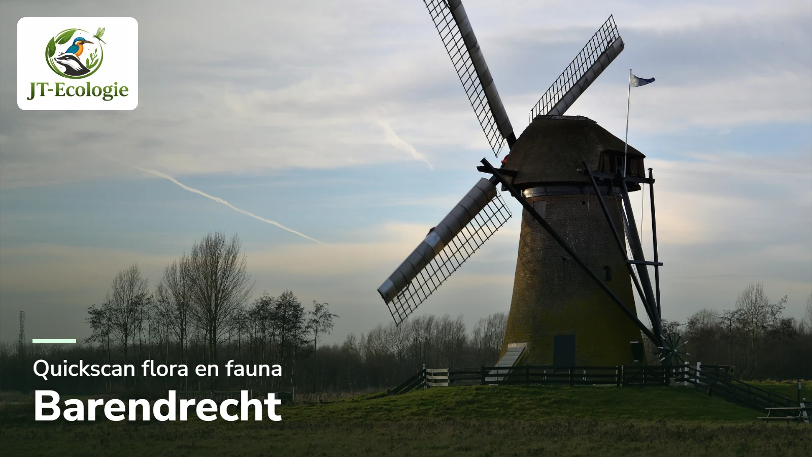 Quickscan flora en fauna in Barendrecht – de Pendrechtse Molen in het Zuidelijk Randpark