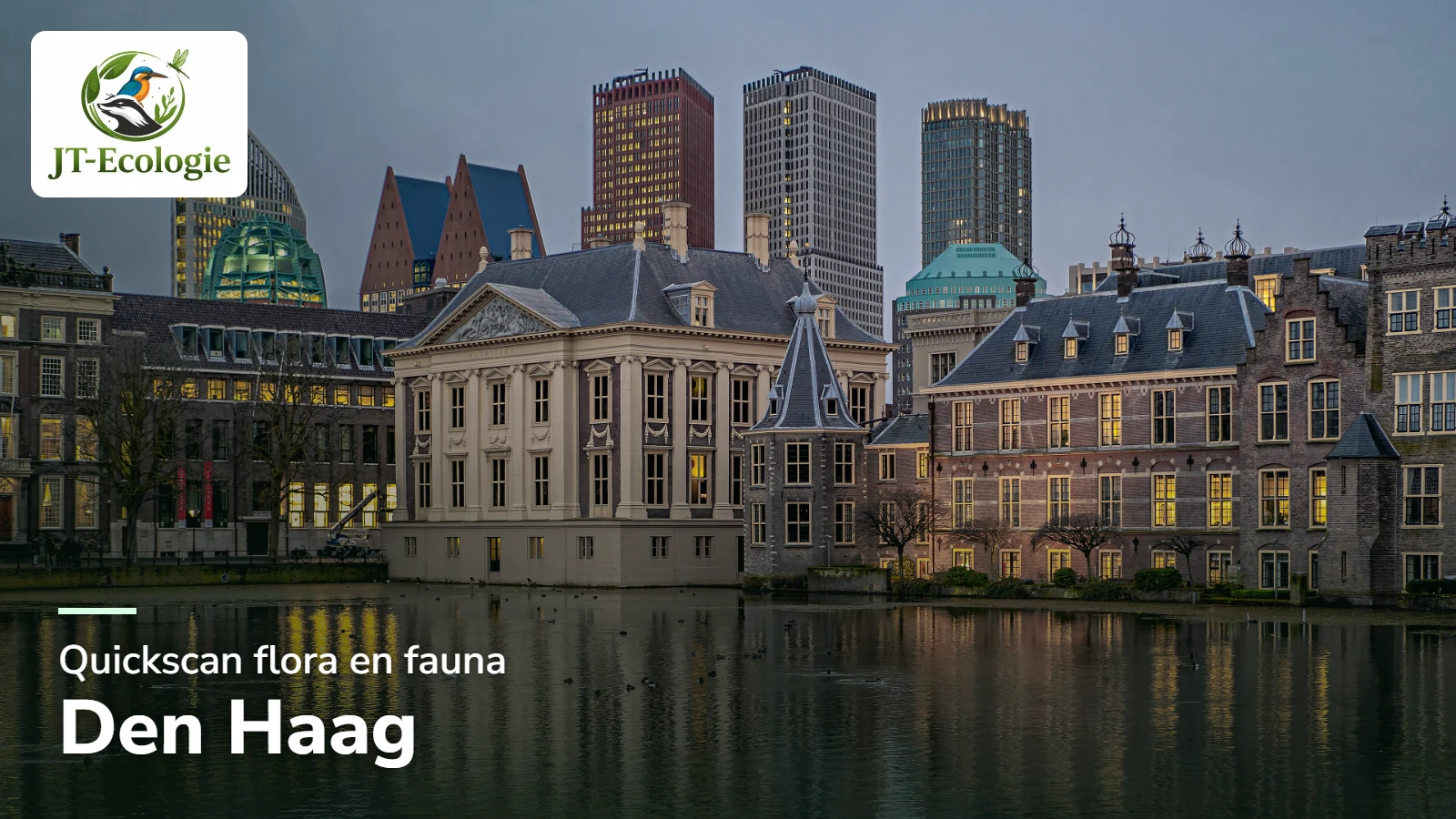 Quickscan flora en fauna in Den Haag – het Binnenhof en het Mauritshuis aan de Hofvijver