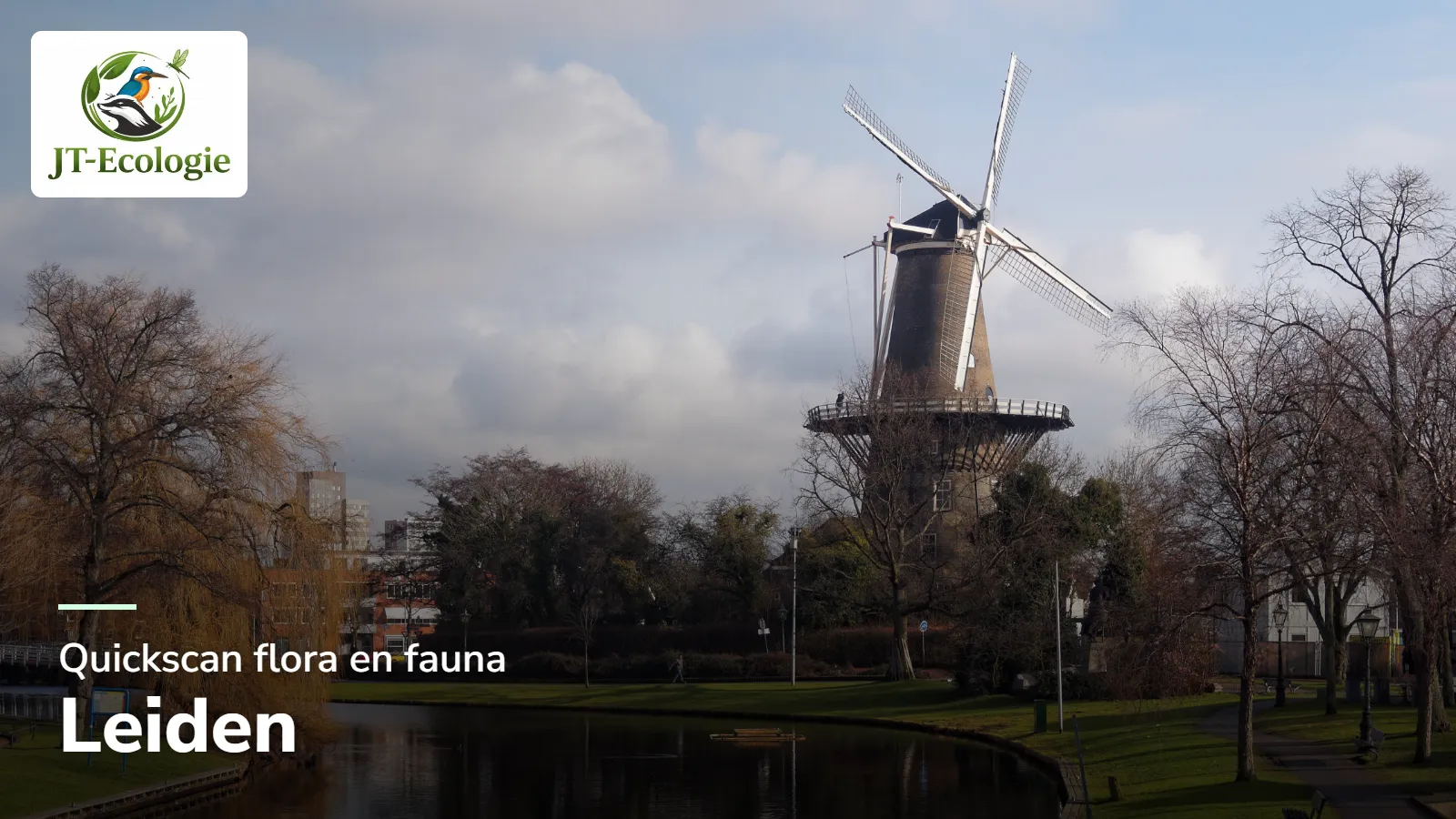 Quickscan flora en fauna in Leiden – molen De Valk aan de singel