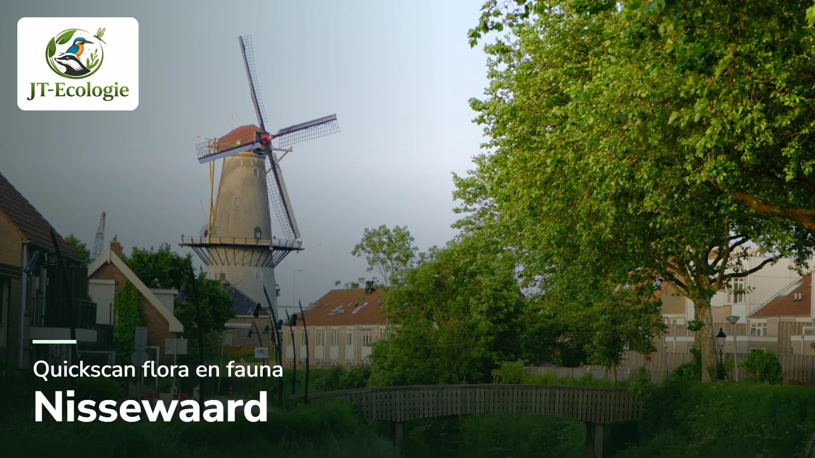 Quickscan flora en fauna in Nissewaard – molen Nooitgedacht in Spijkenisse