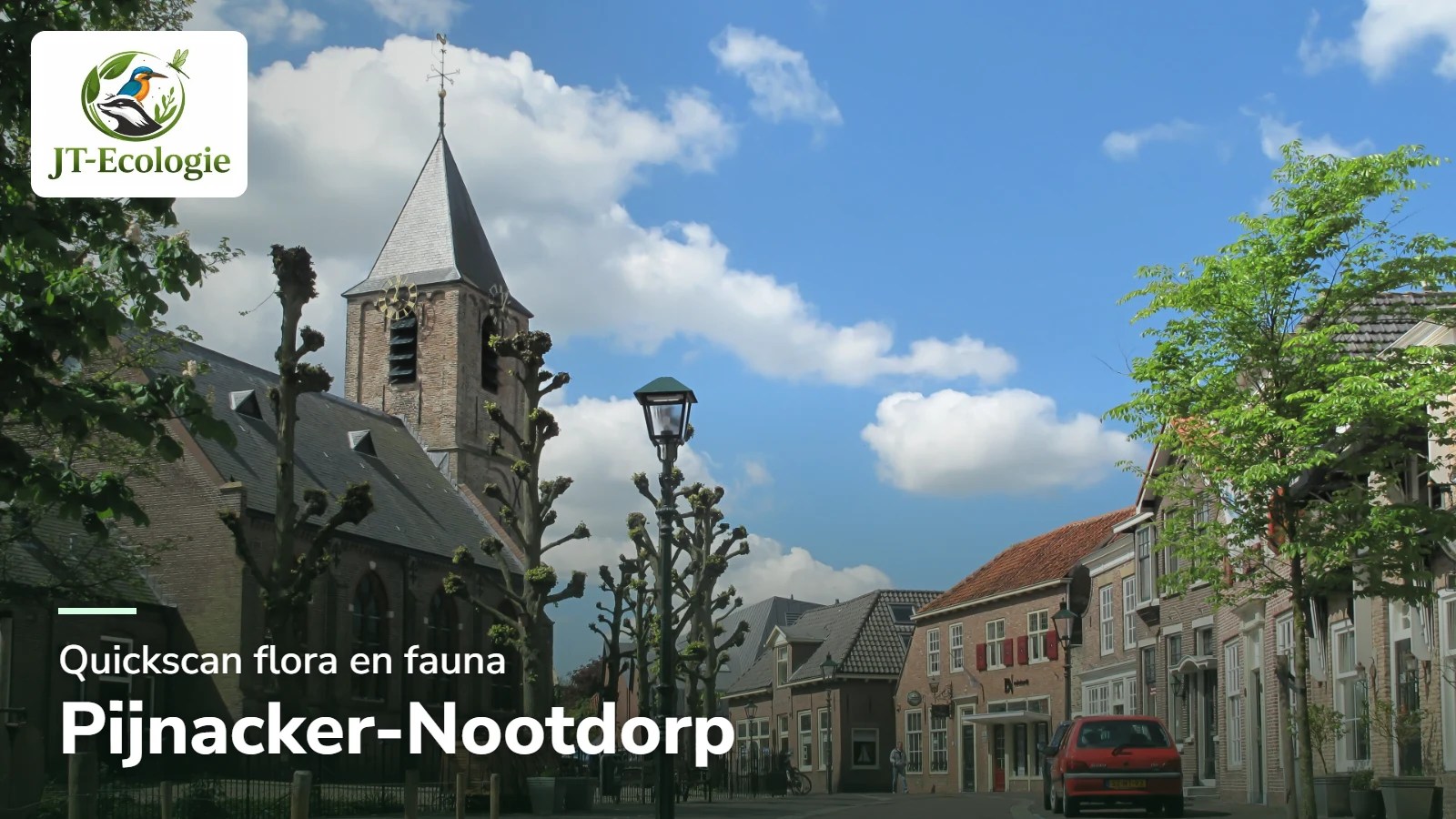 Quickscan flora en fauna in Pijnacker-Nootdorp – de Dorpsstraat met de Dorpskerk in Nootdorp