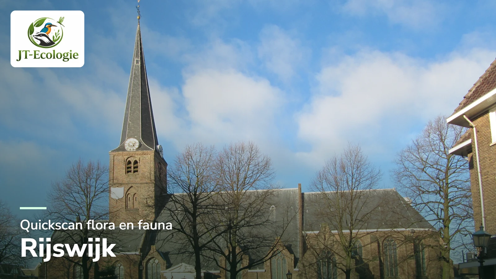 Quickscan flora en fauna in Rijswijk – de Oude Kerk aan de Herenstraat