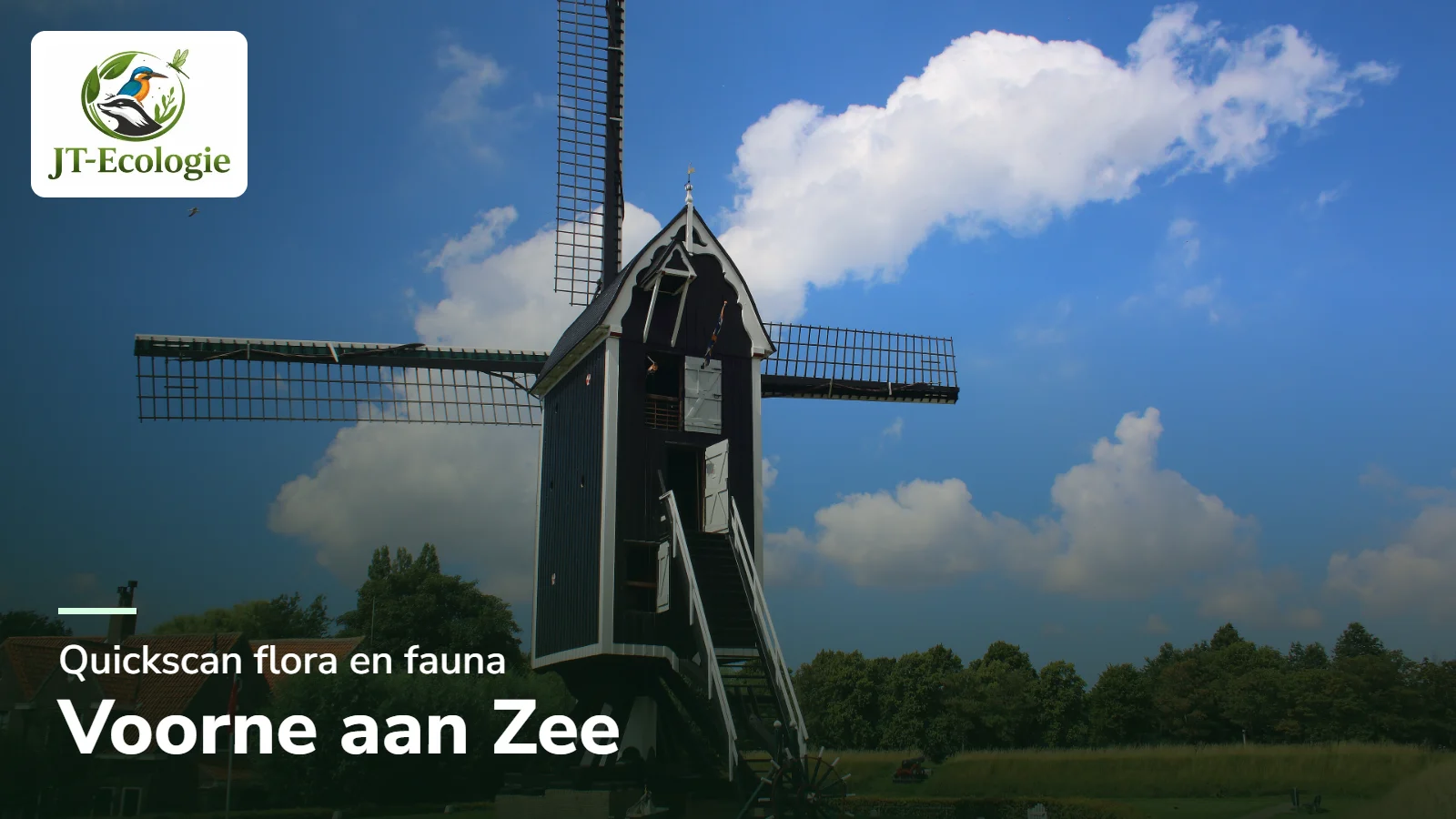 Quickscan flora en fauna in Voorne aan Zee – molen ’t Vliegend Hert in Brielle