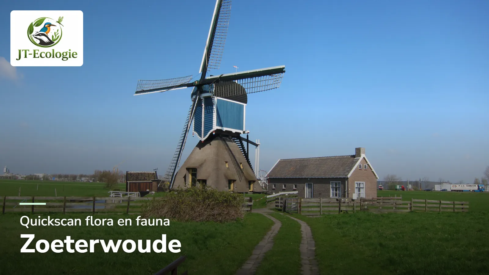 Quickscan flora en fauna in Zoeterwoude – de Grote Molen in de polder